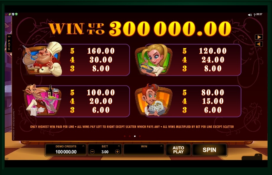 big chef slot slot machine detail image 2
